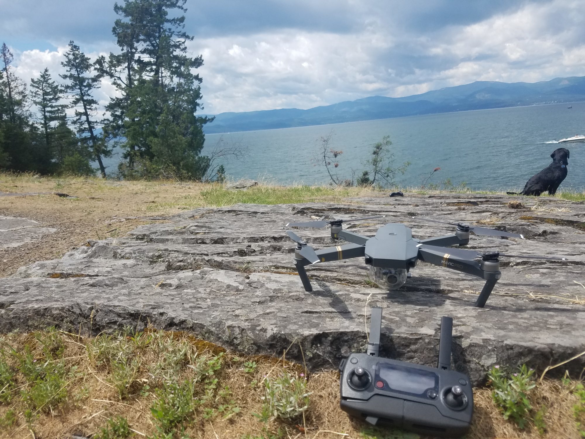 DJI Mavic Pro