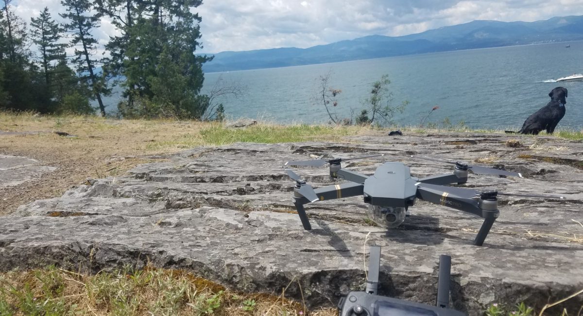 DJI Mavic Pro